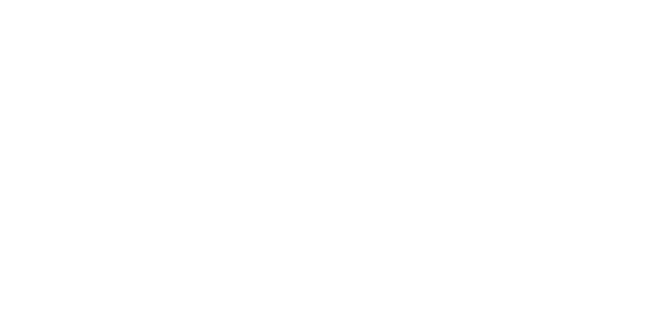 WeTranslate logo white