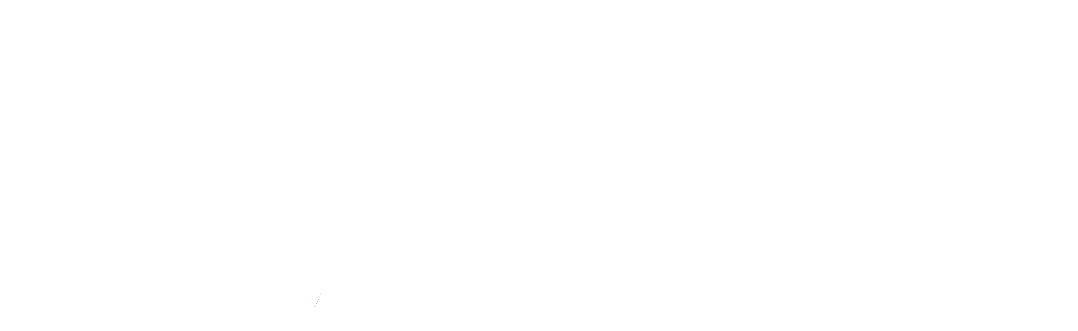 wt logo white