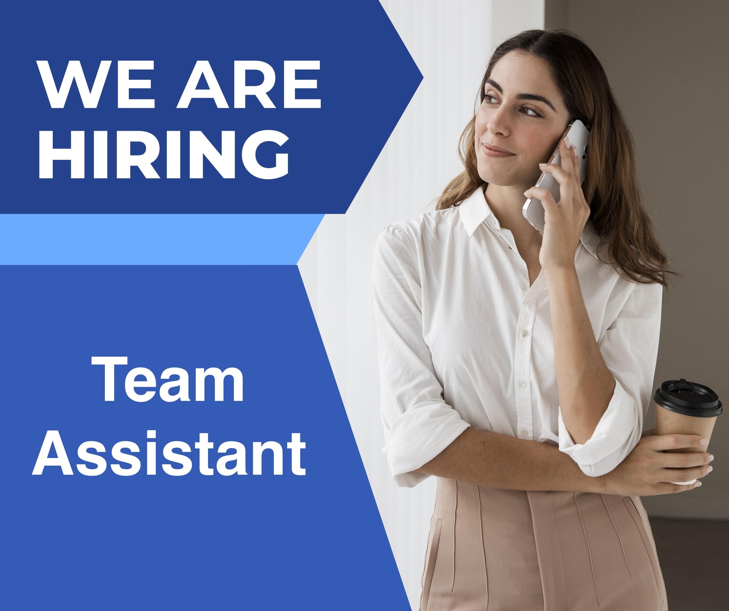 hire team assistant wetranslate